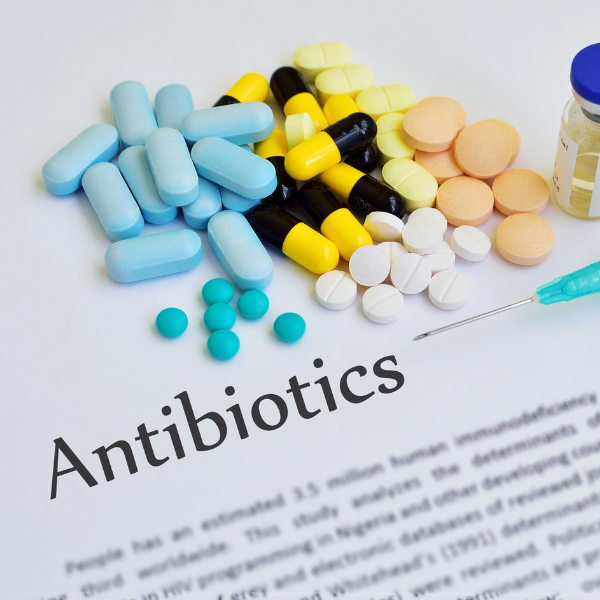 Repairing Your Gut After Antibiotics