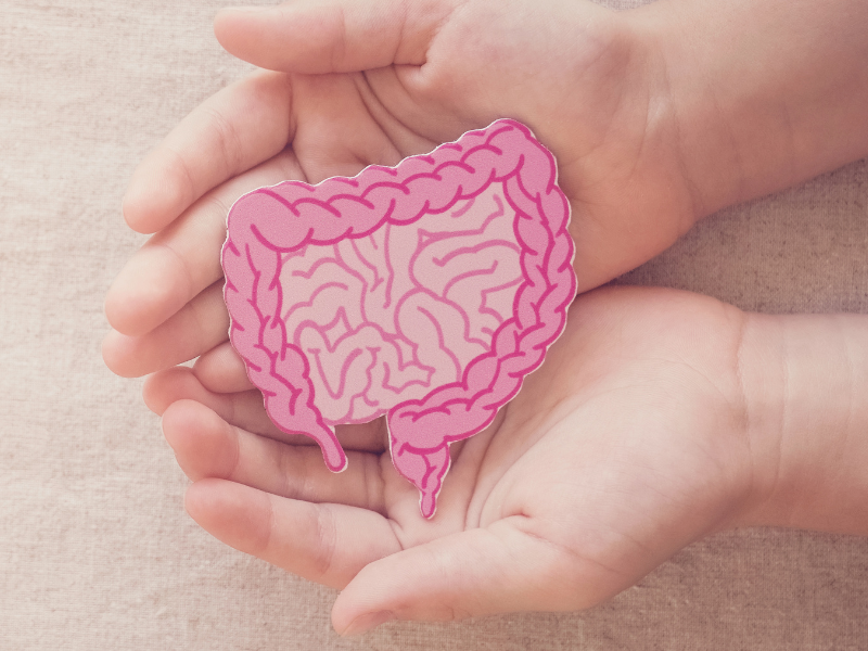 6 Commonly Asked Questions About Gut Health Answered