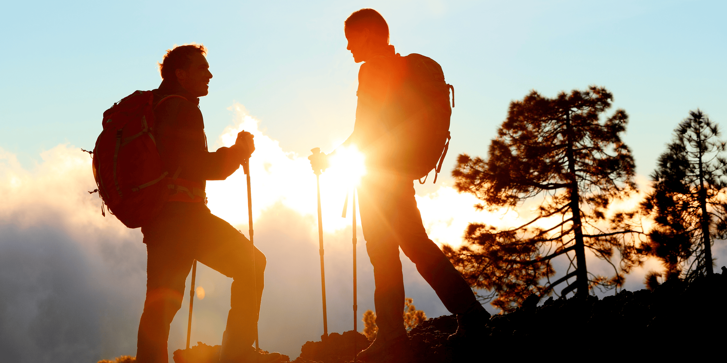 Reliable gut health support with 100 million CFU probiotic strains